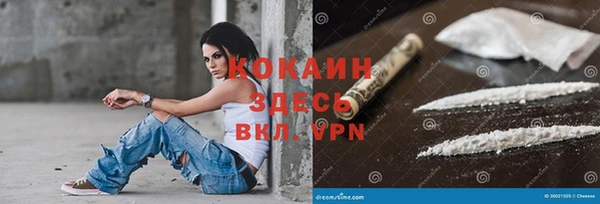 прущие крисы Арсеньев