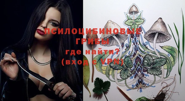 прущие крисы Арсеньев