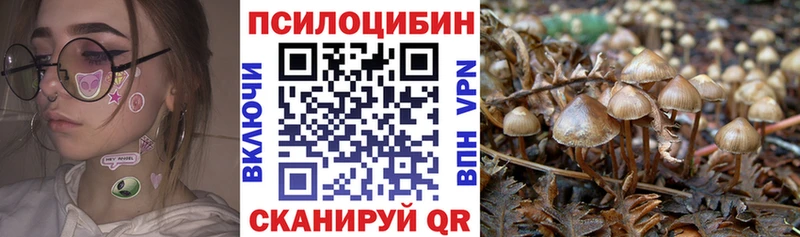 Галлюциногенные грибы Psilocybine cubensis  Бабаево 